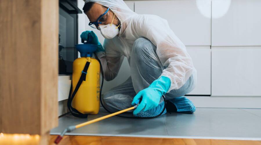 Professional pest control services in South East Melbourne